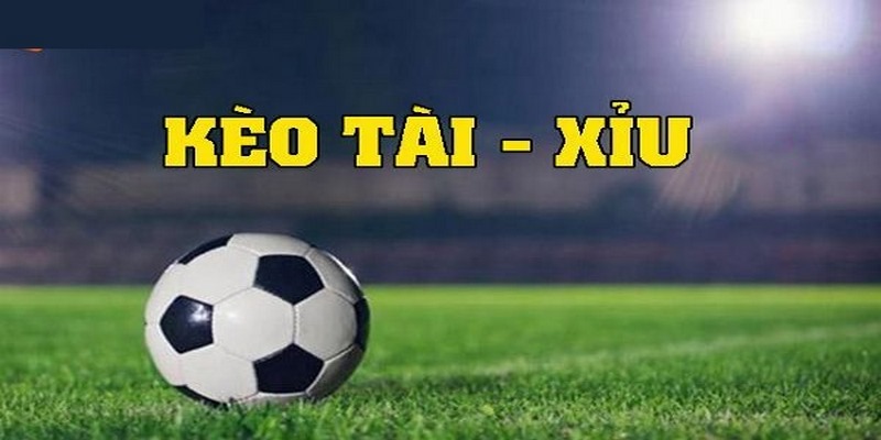 Chiến lược đặt cược cực chuẩn